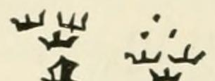 The Crowns, further variants mark as engraved in Chaffers 1891, page 520